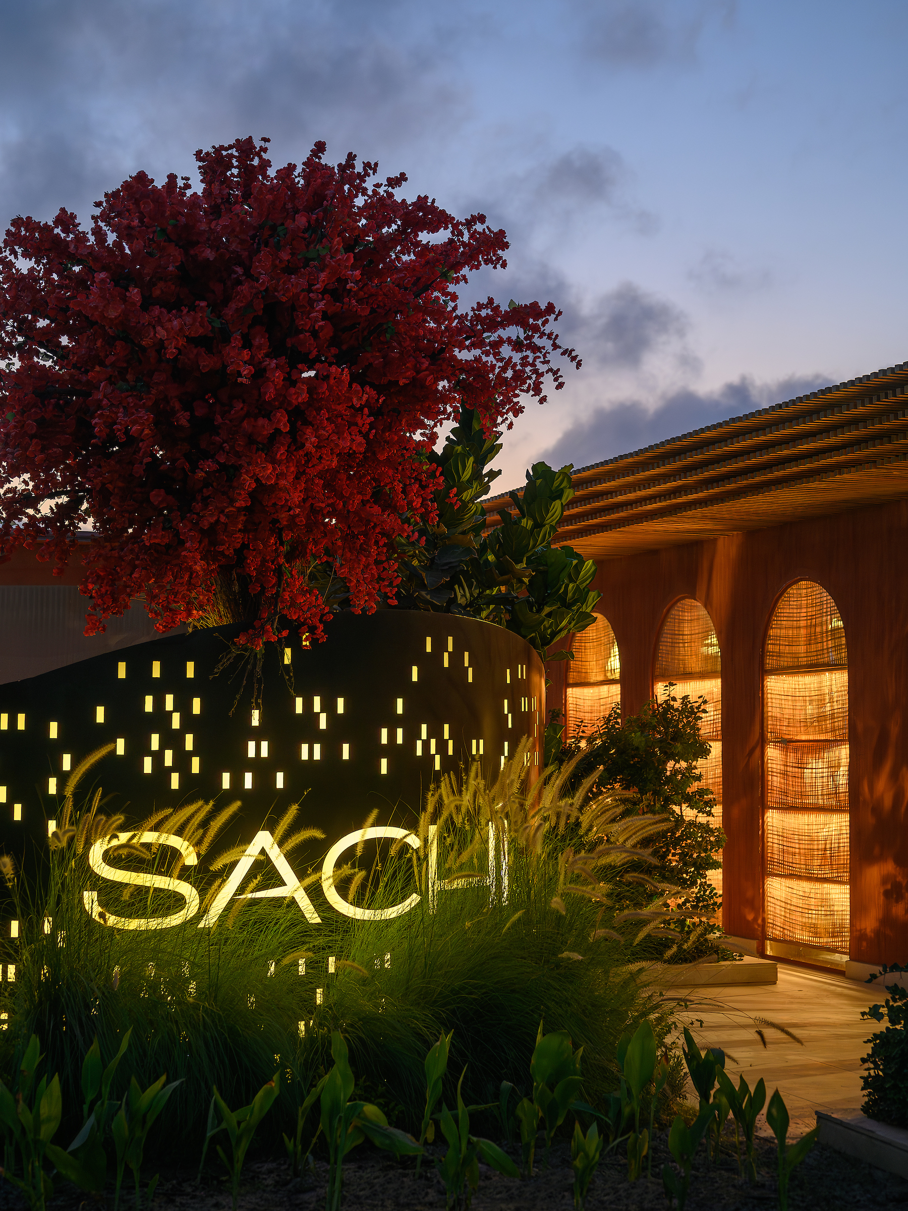 Sachi Almaza