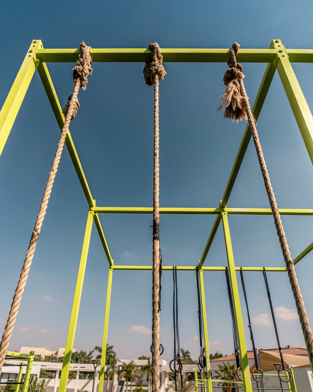 Project perspective