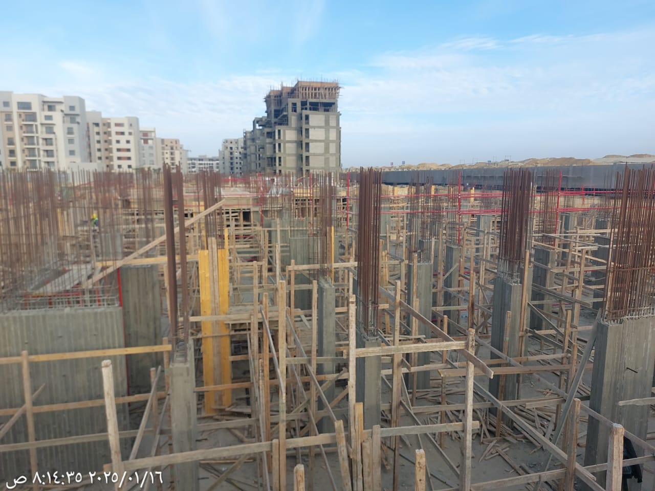 Project perspective