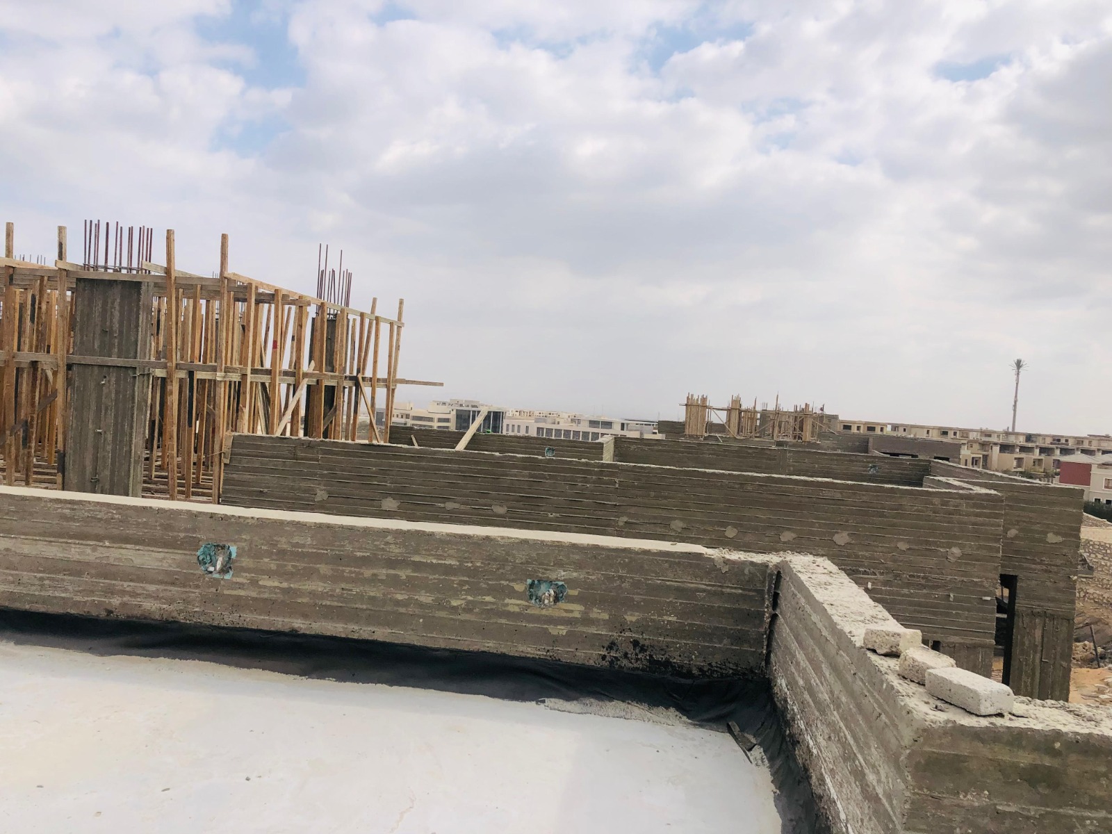 Project perspective