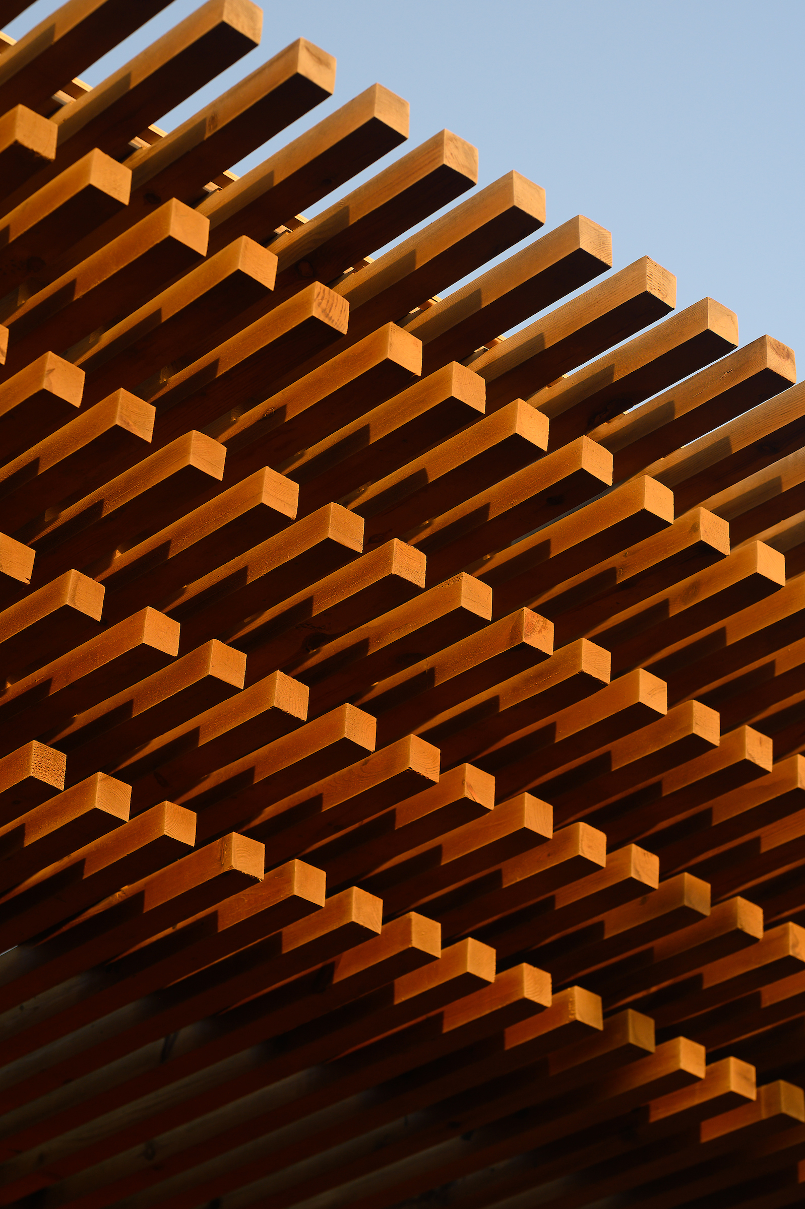 Project perspective