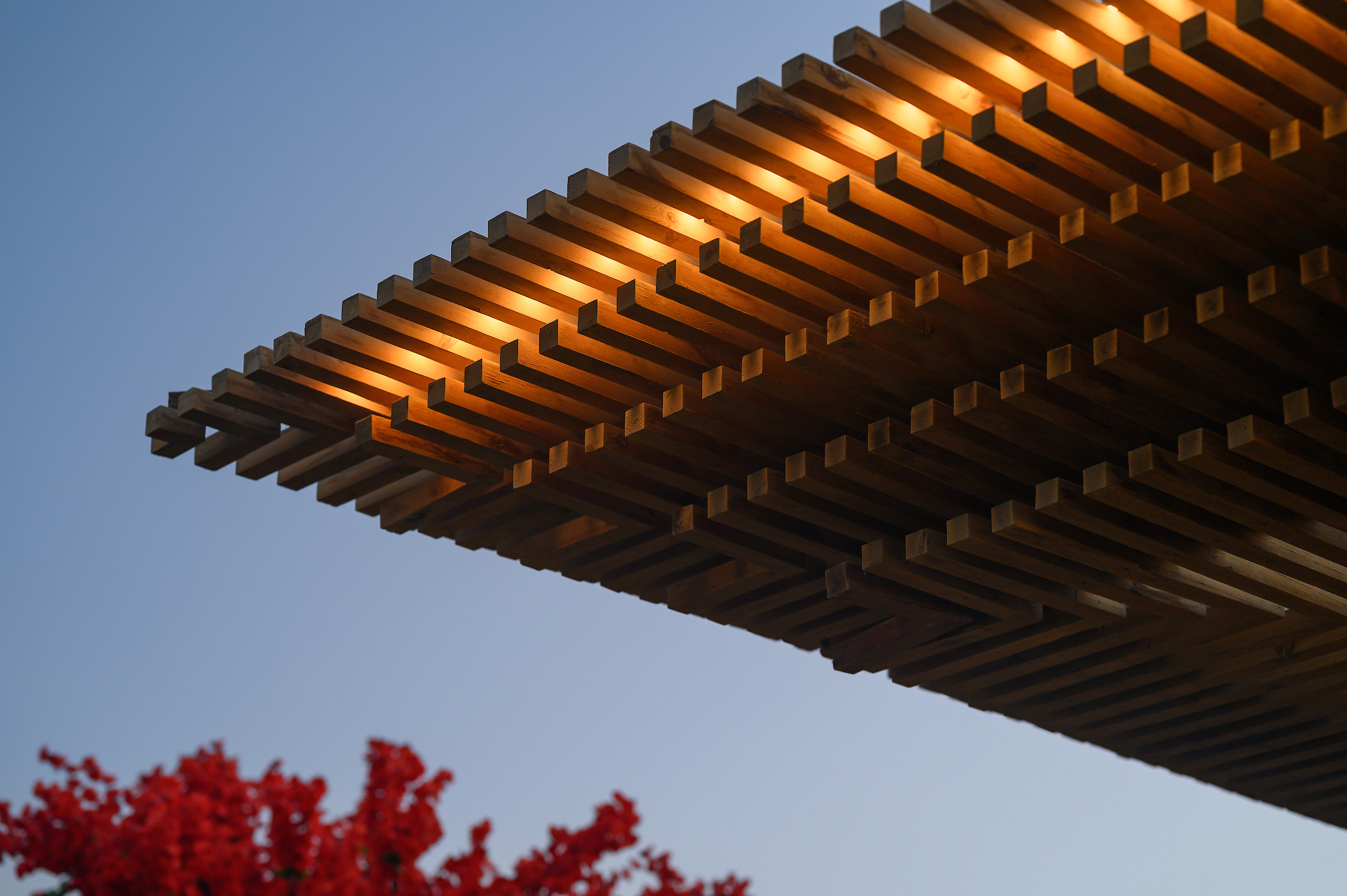 Project perspective